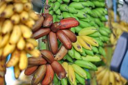 Banane rosse in un mercato maldiviano