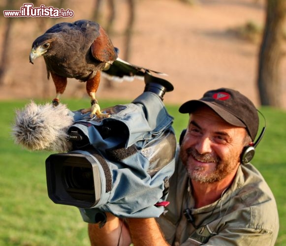 Un aquila supervisiona alle riprese sulla telecamera di Luca 