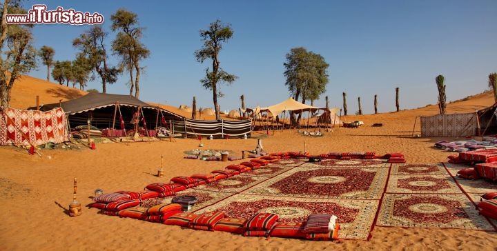 Campo  Beduino Ad Ajman