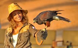 La falconeria nell'Emirato di Ajman