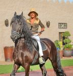Donnavventura a cavallo negli Emirati