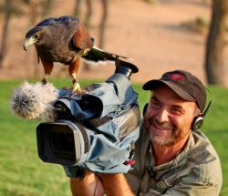 Un aquila supervisiona alle riprese sulla telecamera ...