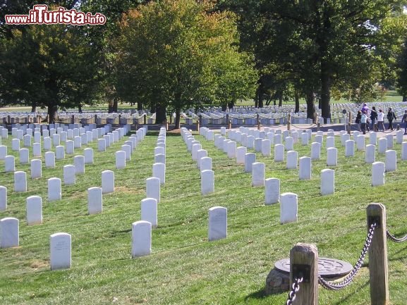 Immagine Washington: Arlington il Cimitero Monumentale