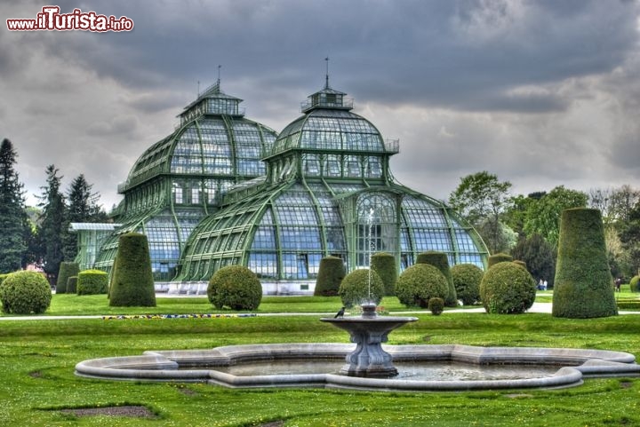 Immagine Serra delle palme, Schloss Schnbrunn
