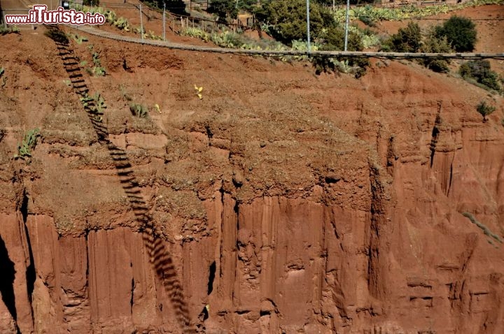 Il ponte sospeso sul vuoto a Terres dAmanar