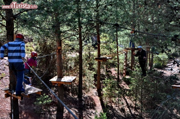 Terres dAmanar: Il sentiero sugli alberi del accro-park