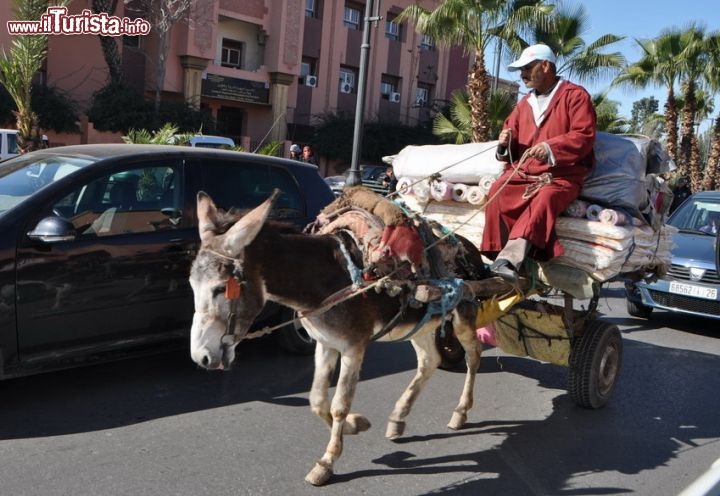 Lo strano traffico di Marrakech