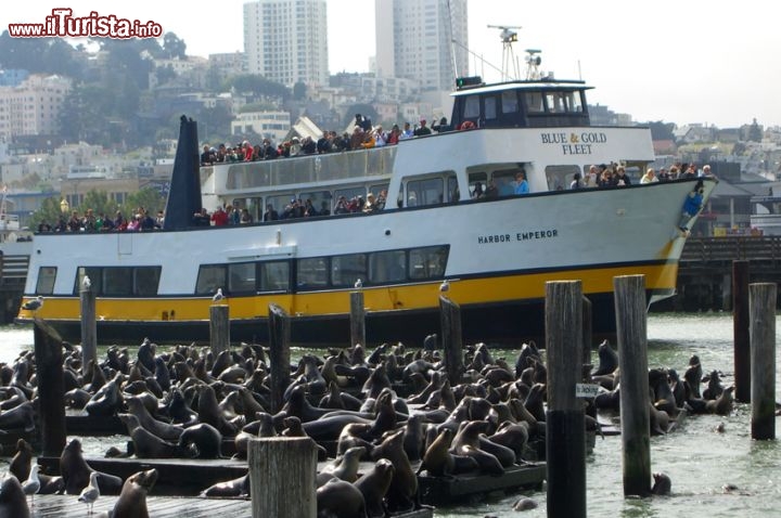 Immagine Crociera della Baia di San Francisco con i battelli Blue & Gold Fleet