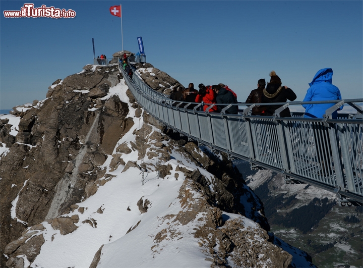 Inaugurazione della passerella Peak Walk a Glacier 3000 (Svizzera) - L'impianto è stato aperto al pubblico ad ottobre 2014, ed è progettato per resistere alle condizioni meteorologiche estreme di questo sito. Qui il vento raggiunge valori prossimi ai 200 km/h e le nevicate sono piuttosto abbondanti. Non è stato facile costruirlo in una posizione tanto esposta, e in effetti l'inaugurazione è arrivata circa 1 mese in ritardo, causa le numerose perturbazioni che hanno colpito le alpi nell'etate 2014. La passerella, larga circa 80 cm, può ospitare fino a 300 persone in contemporanea, anche se, per ragioni di sicurezza, verrà dato consenso solamente a 150 visitatori per turno - © www.glacier3000.ch