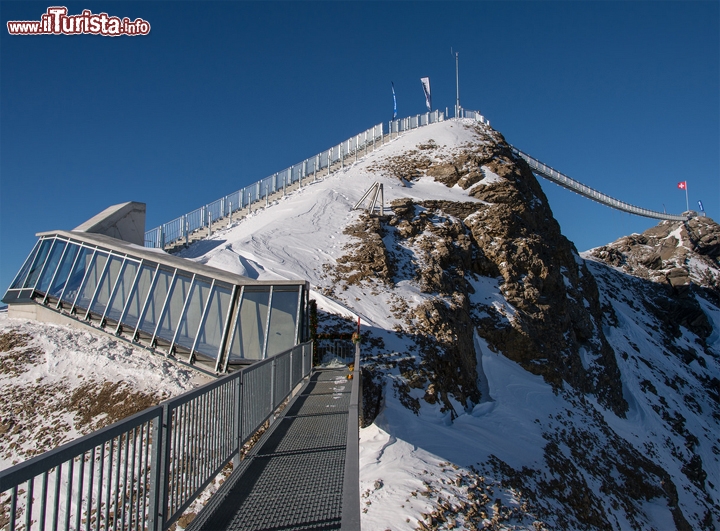 Passerella del Glacier 3000 "Peak Walk", in Svizzera - Questa skywalk detiene comunque un suo primato: si tratta della prima passerella al mondo a collegare due distinti picchi montuosi. Il sito vanta uno dei panorami più belli delle Alpi: trovandosi non distante dalla valle del Rodano, il sito di Glacier 3000 è una specie di balcone con vista sulle Alpi Occidentali, e da qui si possono scorgere con facilità il massiccio del Monte Bianco, il Cervino e il gruppo del monte Rosa, oltre che ammirare lo spettacolo delle alpi Svizzere fino alle mitiche vette dell'Eiger e dello Jungfrau  - © www.glacier3000.ch