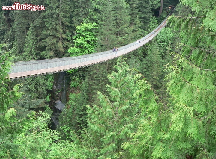 Ponte sospeso sul Capilano river a Vancouver, British Colombia - Oltre alle due attrazioni principali costituite dal Capilano Bridge (foto) e dalla Cliffwalk, da non perdere il percorso denominato Treetops Adventure, costituito da sette ponti sospesi attraverso gli alberi sempreverdi, che vi porteranno fino a 30 metri di altezza sopra il suolo della foresta, nel Canada occidentale. Da qui vi sarà offerta una prospettiva unica, che solamente gli scoiattoli, e gli uccelli, possono normalmente vivere! - © Eugene Buchko / Shutterstock.com