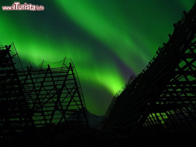 Aurora boreale alle Lofoten AuroraBorealis.no/www.visitnorway.com Copyright:Innovation Norway