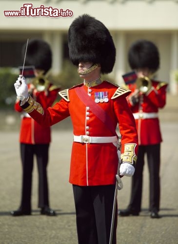 Immagine Guardia della Regina Londra Credit: visitlondonimages/ britainonview/ Pawel Libera