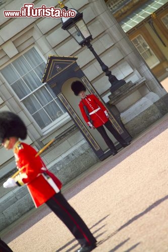 Immagine Londra cambio guardie Credit: visitlondonimages/ britainonview/ Pawel Libera
