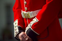 Guardia Buckingham Palace Credit: visitlondonimages/ ...