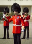 Guardia della Regina Londra Credit: visitlondonimages/ ...