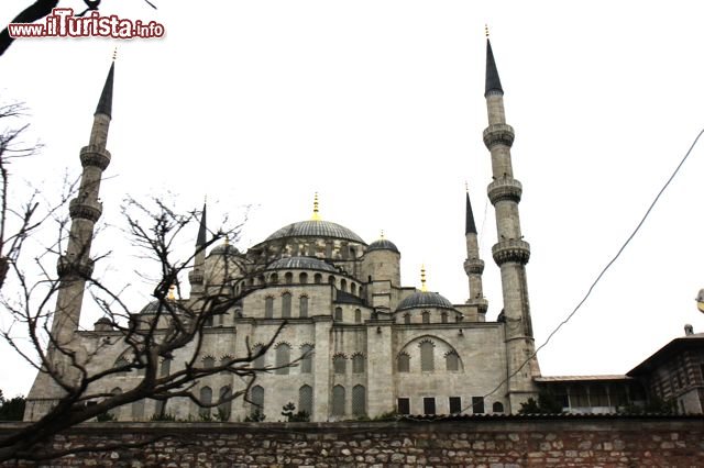 Immagine Mosceha Blu ad Istanbul
DONNAVVENTURA 2010 - Tutti i diritti riservati - All rights reserved