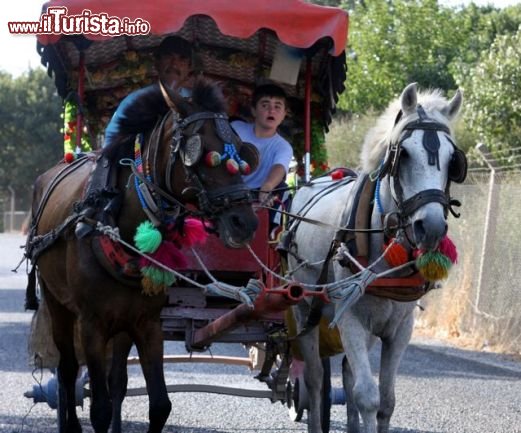 Immagine Carrozza e cavalli in Turchia
DONNAVVENTURA 2010 - Tutti i diritti riservati - All rights reserved