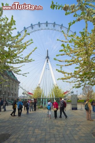 Immagine Ruota London Eye