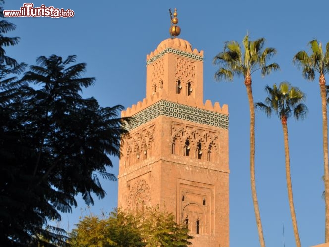 Immagine Le palme gareggiano con la Koutobia