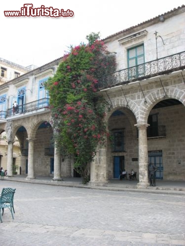 Immagine Cuba plaza cathedral