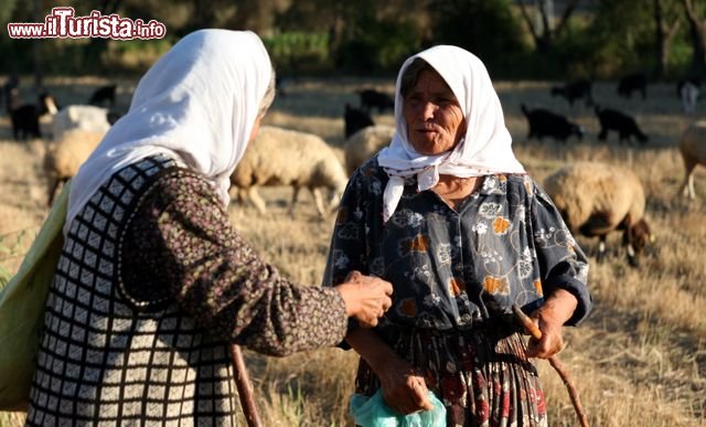 Immagine Donne turche che accudiscono gregge
DONNAVVENTURA® 2010 - Tutti i diritti riservati - All rights reserved