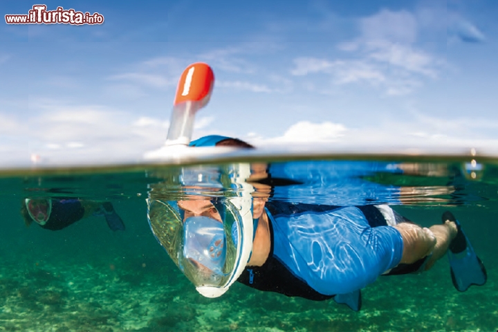 EasyBreath la rivoluzionaria maschera per lo snorkeling - Finalmente una nuova idea per gli appassionati di snokeling, sempre a combattere con l'appannamento del vetro, che limita lo spettacolo dei colori del mare. Sta per uscire in commercio questa nuova maschera, chiamata EasyBreath, che, come dice il nome, finalmente consente di respirare normalmente sott'acqua, e utilizzando contemporaneamente naso e bocca. L'aria enta dal boccaglio incorporato, che è dotato di valvola di blocco che impedisce all'acqua di entrare. L'aria raggiunge la parte bassa della maschera, entrando nel vano predisposto per naso e bocca. L'aria espirata segue invece un percorso diverso, lungo il bordo della maschera e viene convogliata fuori sempre dal tubo incorporato. I vantaggi sono evidenti: naso e bocca sono separati dal resto della maschera da un setto, e quindi il vetro non rischia più di appannarsi. Inoltre la visione è a 180° cosa che rende molto spettacolare il vostro snorkeling! EasyBreath costerà poco meno di 40 euro e sarà disponibile prima dell'estate. In vendita qui