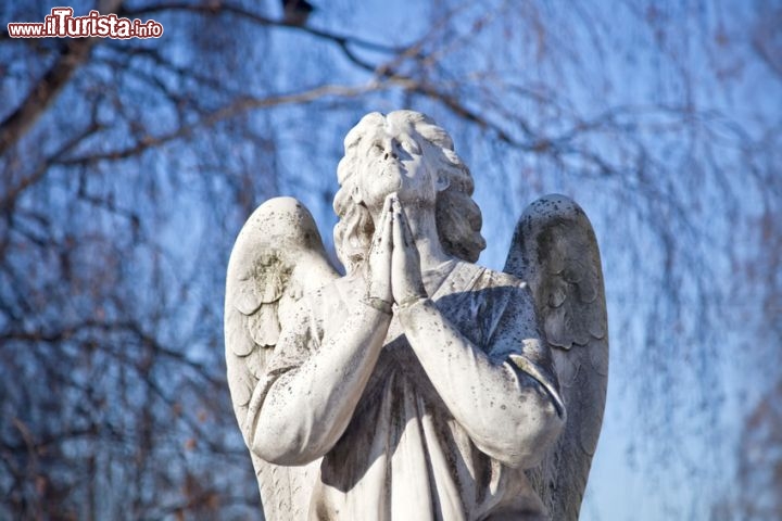 Immagine Cimitero di Novodevichy