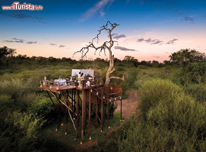 Chalkley treehouse Lion Sands Game Resort Sudafrica - Gli hotel sugli alberi non sono più una novità ma alcuni di loro sono oggi creati in luoghi un tempo impensabile! E' il caso di questo resort del Sudafrica, che offre tre diverse "treehouses" per vivere una romantica esperienza di natura! Ci chiediamo comunque dove andrà a finire il romanticismo quando nella notte sentirete sotto di voi il brontolio dei leono e i snisitri rumuri dei predatori della savana! La Chalkley treehouse è perfetta per chi ama contemplare il cielo stellato, l'orizzonte è libero e si può utilizzare il telescopio in dotazione per scandagliare le costellazioni ricche di tesori celesti. Anche i prezzi sono in linea con l'astronomia, dato che una notte costa circa 200 euro a testa, iclusivi di cena pic nic. Maggiori informazioni: www.lionsands.com/chalkleytree.asp