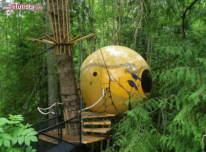 Hotel Free Spirit Spheres Vancouver Island, Canada -Questo particolare e romantico  hotel si trova in un contesto naturale davvero unico, nella foresta pluviale della costa canadese del pacifico. L'isola di Vancouver possiede un clima mitigato dall'oceano, e molto piovoso con punte di oltre 6.000 mm di piogge l'anno. Non stupisce quindi che l'hotel si trovi immerso in una straordinaria cornice di verde, tra gli altissimi alberi della British Columbia, vicino alla località di Qualicum Bay. L'hotel è vietato ai minori di anni 16, per ovvie ragioni di sicurezza. Nella foto la versione Melody, la più recente e costosa camera dell'hotel, che si puà prenotare al prezzo di 245 dollari per notte. Sono però previsti sconti in base alla permanenza, e se prenotate una settimana, la settima notte è gratis.

Sito ufficiale: www.freespiritspheres.com/