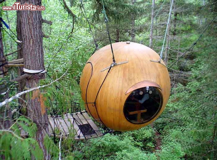 Hotel Sfera sospeso nella Foresta di Vancouver Island in Canada  - Le sfere vengono installate in mezzo ad una terna di alberi, a cui si fissano i tiranti di sostegno, e una volta salita una scala a spirale, le sfere sono raggiungibili da un breve ponte sospeso. L'altezza massima a cui possono essere issate, considerando la tipologia di alberi presenti, è di circa 30 metri. Nell'immagine vedete la sfera chiamata Eve, la più economica delle tre disponibili, che costa  circa 173 dollari per una notte, per due persone. Questa sfera però è la più piccola ed adatta ad ospiti di dimensioni corporee contenute, al massimo 137 kg in due per il letto matrimoniale!
Sito ufficiale: www.freespiritspheres.com/