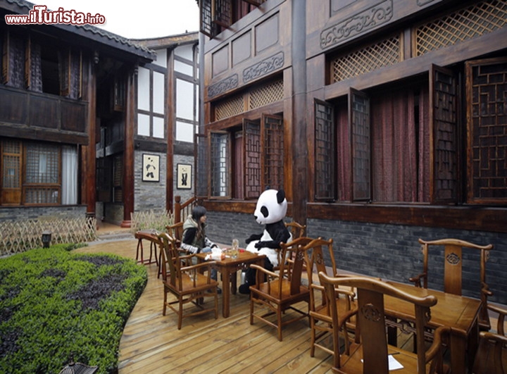 Hotel Haoduo Panda a Chendgu in Cina - E' il primo hotel al mondo che dichiara di essere stato arredato completamente a tema Panda, e se amate particolarmente questi simpatici orsi, allora non dovete dimenticarvi, durante il vostro prossimo viaggio in Cina, di recarvi nella provincia di Sichuan. L'Hotel Haoduo Panda si trova ai piedi del Monte Emei, e forse deve la sua scelta architettonica al vicino centro di ricerca a Chengdu dove si trova la struttura dedicata allo studio e alla riproduzione del Panda Gigante. Per questo motivo l'albergo ha decorato tutte le sue camere con foto dei simpatici plantigradi bianchi e neri, ma anche aggiungendo peluche di panda di varie dimensioni, ed altri mobili dell'arredamento sempre a tema panda, che ricordiamo si tratta ancora adesso una specie in via di estinzione, oltre che essere molto amata nel mondo!