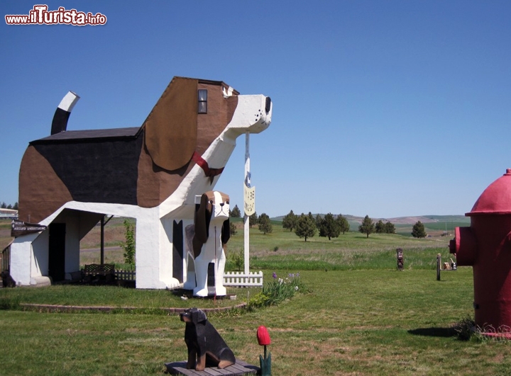 Dog Bark Park Inn, l'albergo a forma di Beagle Stati Uniti - Se adorate i cani, ed in particolare i beagle cioè la razza di Snoopy, il simpatico bracchetto dei Peanuts di Charles M. Schulz, questo hotel in Idaho fa proprio per voi! E' conosciuto per ospitare i due più grandi beagle del mondo, il più grande dei quali è adibito ad hotel. Oltre all'hotel potrete visitare il Dog Bark Park, che tradotto significa il cane del barco che abbaia, e chi possiede un beagle comprende bene il motivo del nome!   Sito www.dogbarkparkinn.com