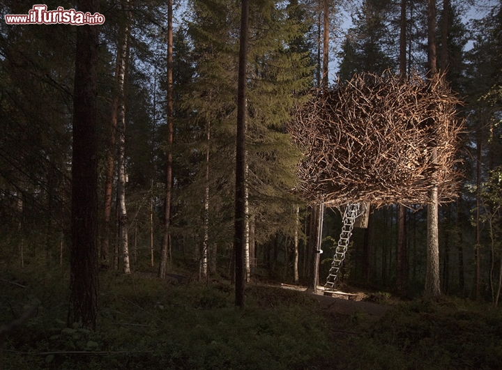 Nido d'uccello, Bird's Nest Hotel, Svezia - Sempre all'interno del Tree Hotel troviamo questa installazione particolare, che vista da fuori non da adito a nessun sospetto della presenza di un hotel, grazie al perfetto mimetismo. Perfettamente nascosto dagli sguardi indiscreti, questo hotel vi farà sentire parte intima della natura, e vi darà tutto il calore e la sicurezza di un nido.  Sito www.treehotel.se/?pg=birdsnest