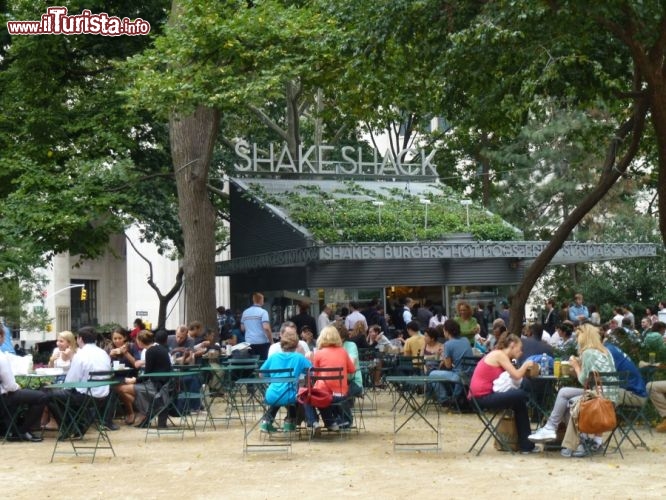 Immagine Shake shak bar New York City