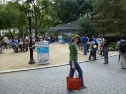 Madison Square Park new york city