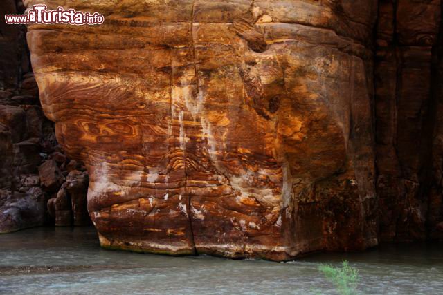 Immagine Pareti del Wadi Mujib con singolari striature naturali - Giordania
DONNAVVENTURA 2010 - Tutti i diritti riservati - All rights reserved