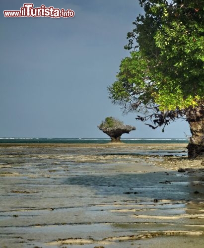 Lo spetacolo della bassa marea a Chale Island