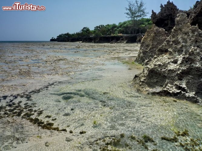 La bassa marea mette a nudo le rocce e le forme di erosione della costa del Kenya