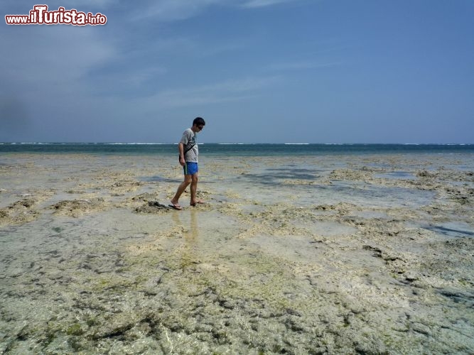Passeggiando con la bassa marea a Chale Island