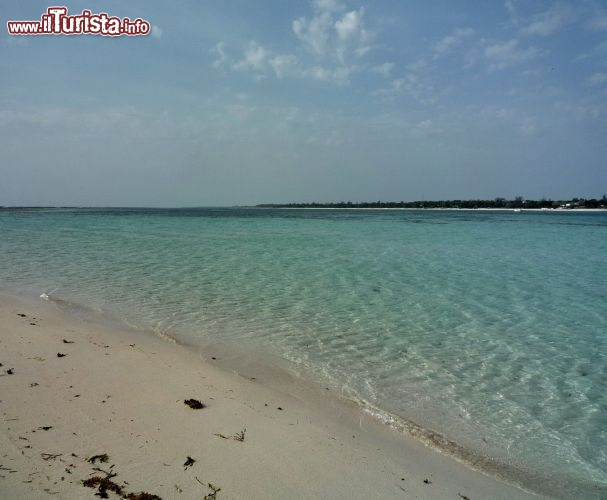 Il verde ed il celeste sono i colori dominanti a Robinson Island