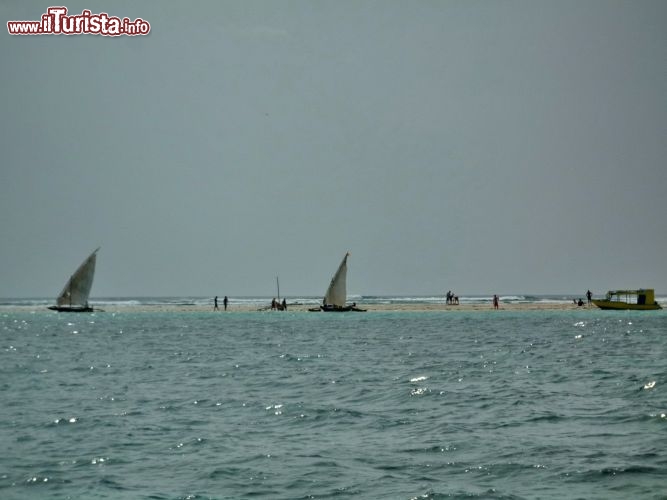 Vele in lontananza all'isola di Robinson