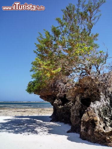 Uno scoglio sulla Spiaggia principale di Chale