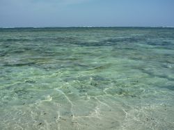 Il mare dell'isola di Chale invita allo snorkeling ...