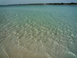 Le acque trasparenti di Robinson Island