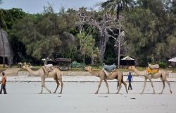 Ecco la folcloristica spiaggia di Dani