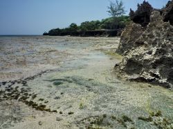 La bassa marea mette a nudo le rocce e le forme ...