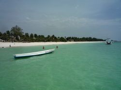 Il verde dell'Oceano a Diani Beach, con la lunghissima ...