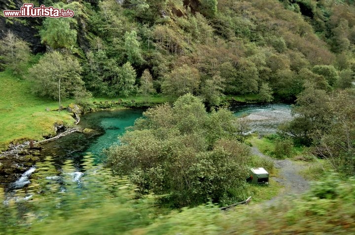 Il fiume Flamselvi lungo la Flamsbana in Norvegia, ricco di verde