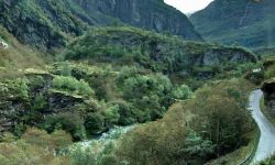Rocce e vegetazione nella valle della Flamsbana, ...